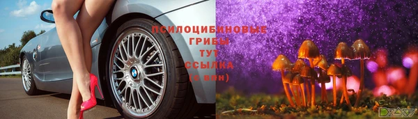 прущая мука Мегион
