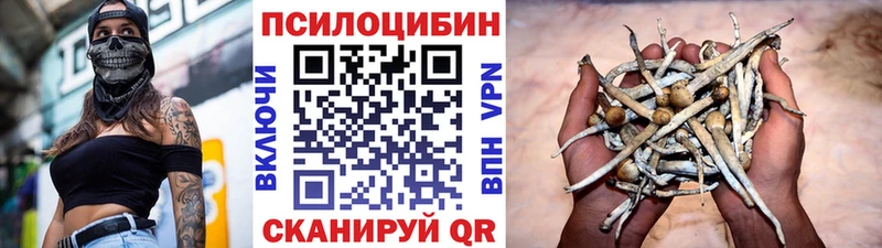 Купить где  Амурск  Псилоцибиновые грибы MAGIC MUSHROOMS 